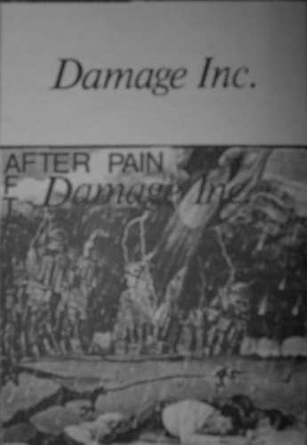 Damage Inc. (PL) : After Pain, After Rain